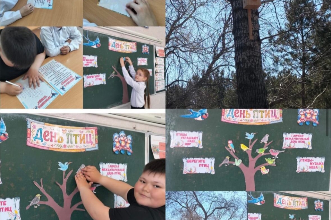 Птицы - наши верные друзья! #Адалазамат